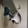 Mason Walter - @mason.walter6 - TikTok