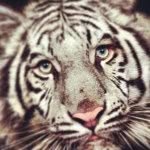 Mason Ware - @catlover241952 - Instagram