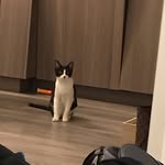 mason_wei - @weibo55 - Instagram