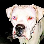Mason Whitaker - @masonwhitaker5406 - Instagram