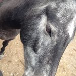 Mason whitaker - @whitmason123 - Instagram
