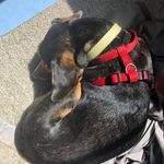 Mason Whitehead - @masonwhitehead55 - Instagram