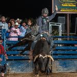 Mason Williamson - @mason.williamson8 - Instagram