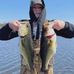 Mason Willis - Facebook