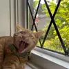 Mason Wu - @masonwu69 - TikTok