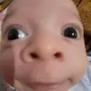 Moosebean230 - @mason.wu6 - TikTok