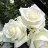 Masood Sultan - @masood.sultan8 - TikTok