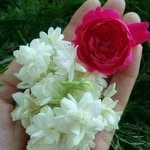 Masooma Batool - @masooma_batool98 - Instagram