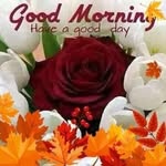 Masooma Khan - @masooma.khan.94695459 - Instagram