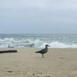 Masooma Mujeeb - @mmj469 - Instagram