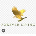masooma sheikh - @masooma.afzal.official - Instagram