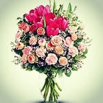 Masooma Sheikh - @masooma.qasim_ - Instagram