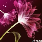 masooma sheikh - @masooma65 - Instagram