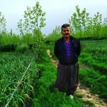 مسعود عبادی - @masoud_ebadi47 - Instagram