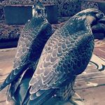 masoud ebadi - @maoud901 - Instagram
