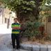 Masoud Emami - Facebook
