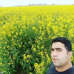 masoud..emami - @mmy7326 - Instagram