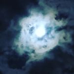 Masoud - @masoudghadamizade2 - Instagram