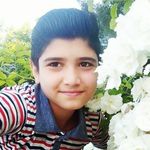 Masoud Kermani - @kermani.masoud - Instagram