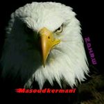 Masoud Kermani - @masoud_kermaniiiii - Instagram