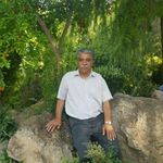 masoud.kermani - @masoud.kermani2 - Instagram
