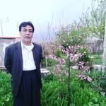 Haj Masoud Kiani - @masoud.kiani1 - Instagram
