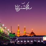 masoud meshkat - @masoudmeshkat99 - Instagram