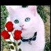 Massiel Lemus - Facebook