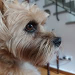 Massimo Brunetti - @mabrufi - Instagram