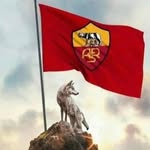 Massimo Napoli - @napoli_massimo - Instagram