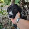 Massimo Rizzo - @massimo.rizzo4 - TikTok