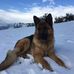 Massimo Rubini - Facebook