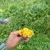 Masud Rahman - Facebook