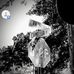 Matt Lambert - Facebook