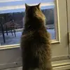 Mat_michel24 - @mat_michel24 - TikTok