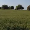 Morad Matani - @morad.matani - TikTok