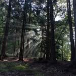 Matej Pekarovic - @matej_pekarovic - Instagram