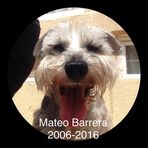 Mateo Barrera - Facebook