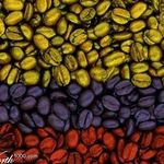 Mateo Cataño Martinez - @col_emprende.mc - Instagram