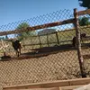 Mateo Escobar - @charrotime24.7 - TikTok