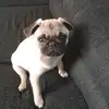 Mateo Escobar - @mateo.escobar326 - TikTok