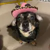 mateoooescobar - @mateoooescobar - TikTok