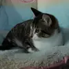 Mateo Flores - @mateo.flores552 - TikTok