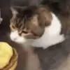 mateogordonluna - @mateogordonluna - TikTok