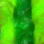 Mateo Green - @mateo.green.10236 - Instagram