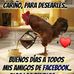 Mateo Guzman - Facebook