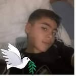 Mateo Guzmán - @mateoguzman960 - Instagram