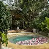 Casa La Mateo 🌸🏡 - @lamateo.house - TikTok