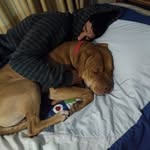 Mateo Johnston - @_matteoj_ - Instagram