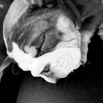 Mateo Lee - Facebook